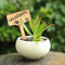 100x Wooden T-Shape Plant Labels Garden Seedlings Potted Sign Tags Marker