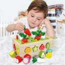 Montessori Toys - Wood Preschool Learning Fine Motor Skills Harvest Game