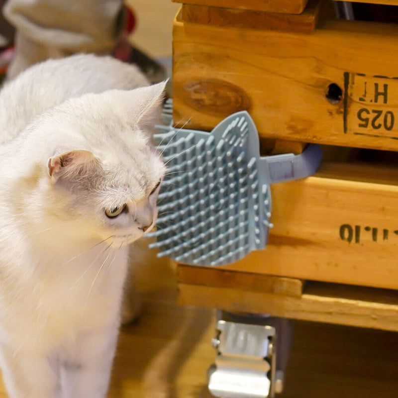 Cat Corner Scratching Rubbing Brush Massage Comb Scratcher Pet Toys (Blue) Newly