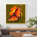 5D DIY animal butterfly full circle diamond painting diamond E755