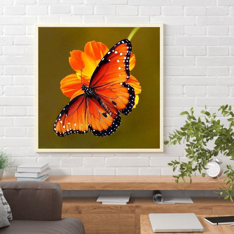 5D DIY animal butterfly full circle diamond painting diamond E755
