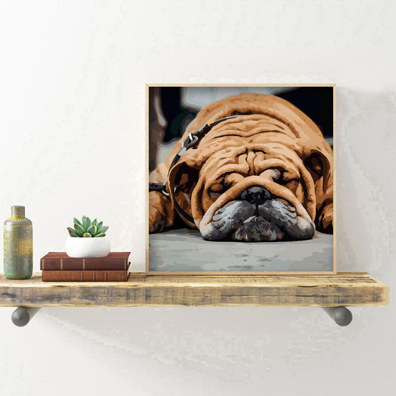 Hand Painted on Canvas DIY Sleeping Dog Oil Paint By Numbers Drawing Kit Cr
