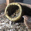 Straw Bird Nest, Resting Breeding Place for Birds, Handmade Birds Cage (S)