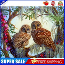 Two Owls Oil Painting By Numbers Kit DIY Frameless Picture Acrylic Craft