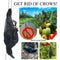 Realistic Hanging Dead Crow Decoy Lifesize Extra Large Feathered Black Cro best