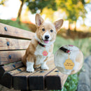 Anti-lost Footprint Puppy Pet ID Tag Dog Collar Pendant Dogs Name Tags