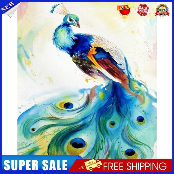 Peacock Oil Paint By Numbers Set Canvas Drawing DIY Coloring Picture Kits