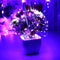 2xSolar String Lights Waterproof Copper Wire Fairy Lamp (Pink White 200LED)