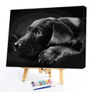 Animals on Earth Paint By Numbers DIY Set Canvas Oil Painting Drawing No Fram