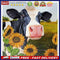 Flower Cow Canvas Paint By Numbers Oil Hand Painted Drawing Kit Home Decorati