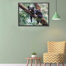 5D DIY Diamond Painting Black Bear Full Round Drill Wall Home Decoration Cr