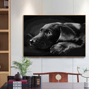 Animals on Earth Paint By Numbers DIY Set Canvas Oil Painting Drawing No Fram
