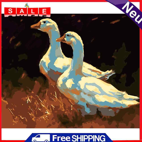 Oil Paint Animal By Numbers Coloring Picture Digital