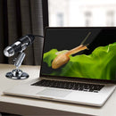 1600X Digital Microscope Camera Handheld 8 LED Zoom Electron Microscopes Newly