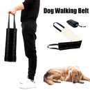 Support Pet Auxiliary Belt Disability Auxiliary Dog Lifting Belt Dog Walking