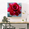 DIY Roses Diamond Painting Cross Stitch Embroidery Mosaic Kit Room Decor