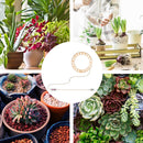 Angel Ring Plant Light Sunlight Phytolamp USB Nursery Lamp (One for One) Newly