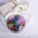 Handheld Fruit Storage Case Making Mold Tools Homemade DIY Storage Box for