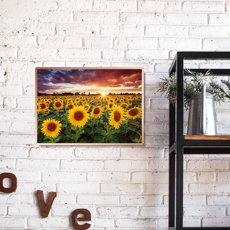 5D DIY Diamond Painting Sunflower Full Round Drill Embroidery Cross Stitch Kit