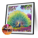 Part Special Shaped Drill Diamond Painting Peacock Mosaic Picture Art Craft