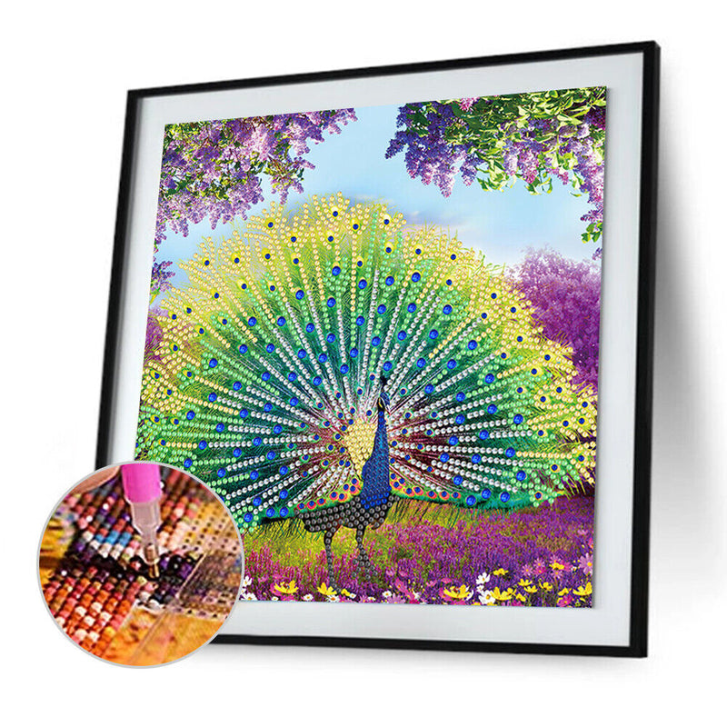 Part Special Shaped Drill Diamond Painting Peacock Mosaic Picture Art Craft