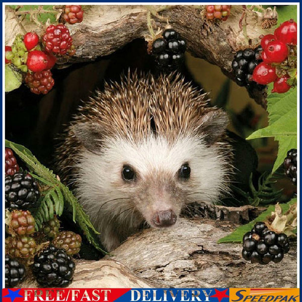 Animal Hedgehog 5D Diamond Painting Embroidery DIY Full Round Drill Picture #F