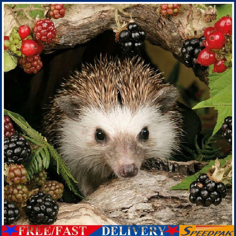 Animal Hedgehog 5D Diamond Painting Embroidery DIY Full Round Drill Picture