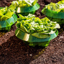 Plants Snail Protection Rings Garden Vegetable Pest Control Trapper (6pcs)