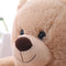 Cute Learning to Sit Baby Sofa Cover Seat Support without Filler (Bear) Newly