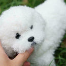 Realistic White Teddy Dog Simulation Dog Puppy Lifelike Handmade Stuffed H9V0