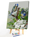 40x50cm Coloring Painting Canvas Drawing Two Blue Birds Digital Coding Picture