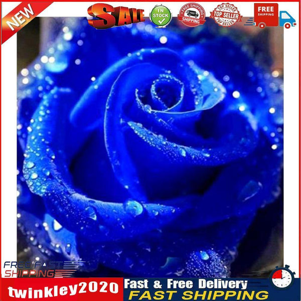 5D Full Drill DIY Blue Rose Diamond Painting Embroidery Round Rhinestones Newly