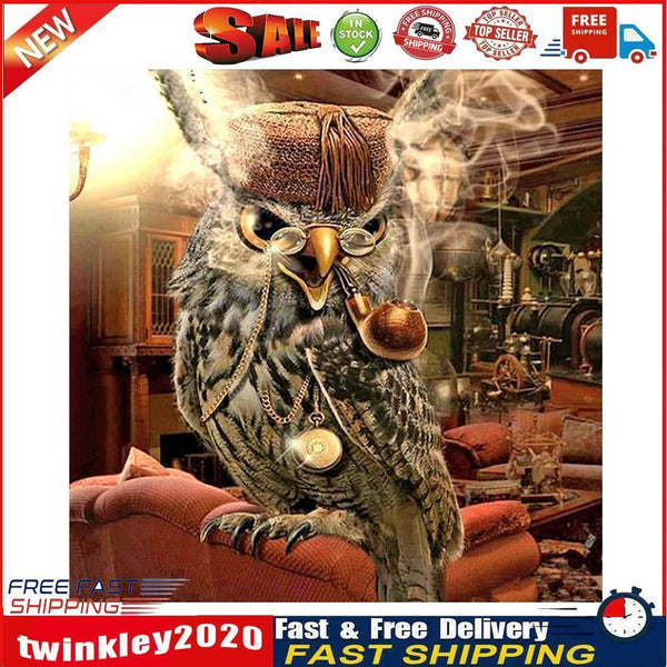 Owl in Cat Oil Painting By Numbers DIY Frameless Art Picture On Canvas Set Newly