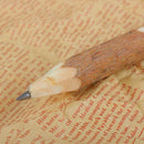 School Supplies Art Work Graphite Writing Tool Branch and Twig Wooden Pencil