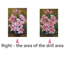 5D DIY Full Drill Diamond Painting Cross Stitch Embroidery (Flower)