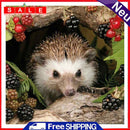 Oil Painting By Numbers Acrylic Handmade Little Hedgehog Digital Picture Decor