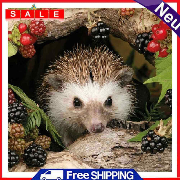 Oil Painting By Numbers Acrylic Handmade Little Hedgehog Digital Picture Decor