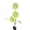Garden Solar Powered Light Waterproof for Pathway Patio Yard Decorations Outdoor