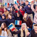 Mini Handheld Flags Diamond Painting Drilling Small National Flags with Pole