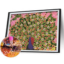 Diamond Painting Kit Open Peacock Partial Special Shape Drill DIY (up271) Newly