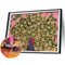 Diamond Painting Kit Open Peacock Partial Special Shape Drill DIY (up271) Newly