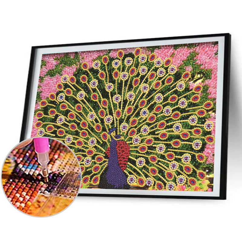 Diamond Painting Kit Open Peacock Partial Special Shape Drill DIY (up271) Newly
