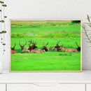 1000pcs DIY Grassland Elk Paper Puzzle Educational Jigsaw Assembling Game T