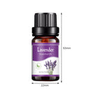 10ml Essential Oils Air Humidifier Aroma Diffuser Aromatherapy Water-soluble Oil