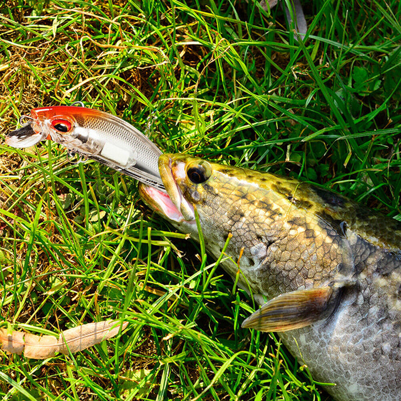 Luminous Fishing Lures 7cm 11g Swimbait Casting Fishing Bait for Freshwater Pike