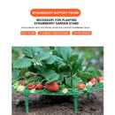 Strawberry Stand Frame Balcony Vegetable Holder Planting Racks (10pcs) Newly