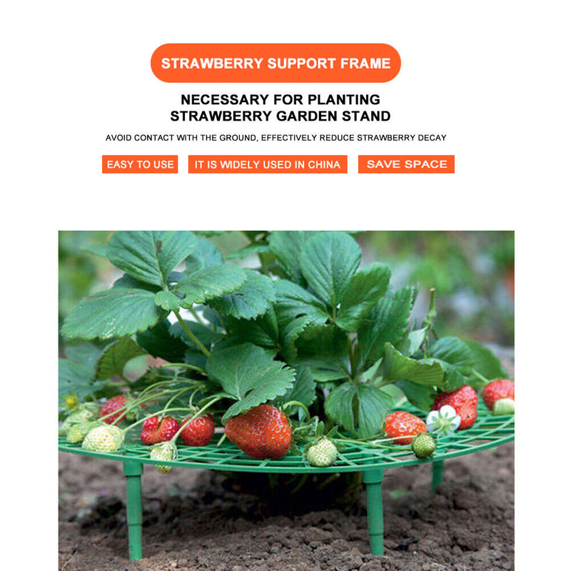 Strawberry Stand Frame Balcony Vegetable Holder Planting Racks (10pcs) Newly