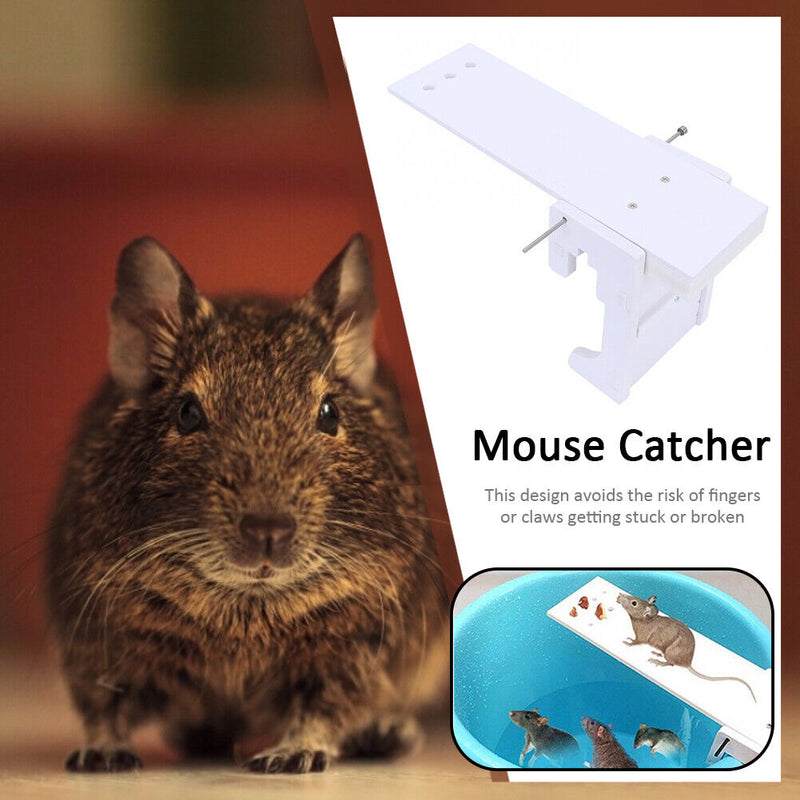 Non-toxic Rat Trap Seesaw Mouse Catcher Bait Pest Reject Killer Mice Traps
