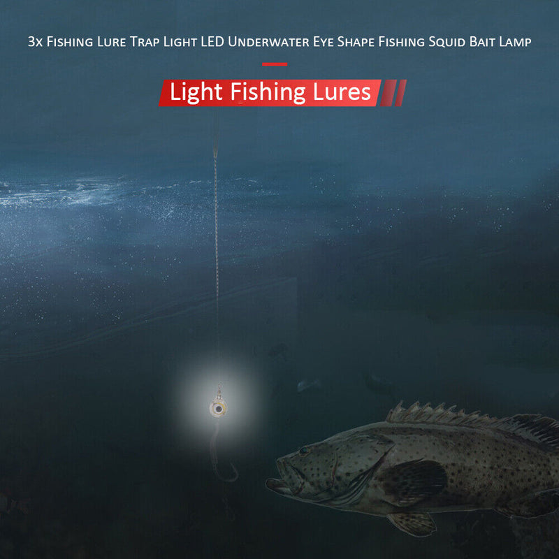 3x Fishing Lure Trap Light LED Underwater Eye Shape Squid Bait Lamp (White)