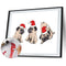 Christmas Dogs Oil Paint By Numbers Kits Canvas Drawing DIY Coloring Pictures